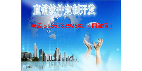 河南直銷(xiāo)軟件開(kāi)發(fā)